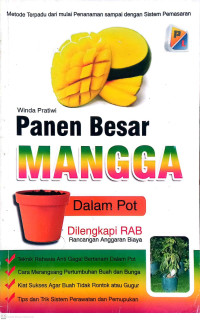 Panen Besar Mangga dalam Pot Dilengkapi Rancangan Anggaran Biaya
